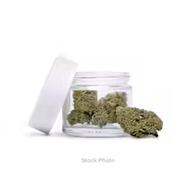 Photograph of product: Glue Trap Eighths - 3.5g