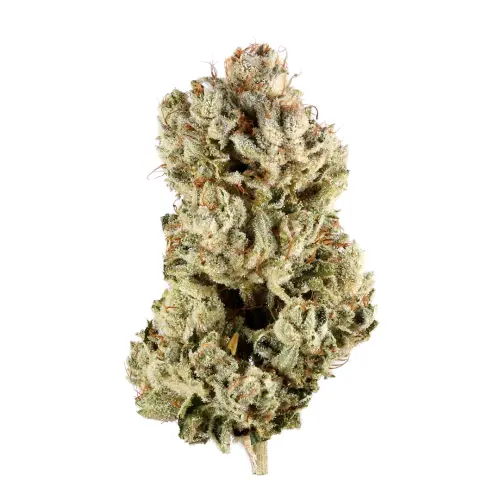 Photograph of product: OG DIESEL