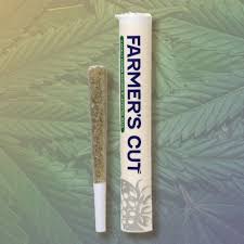 Photograph of product: Glazed Apricot Lime (S) - Pre-Roll (1g)
