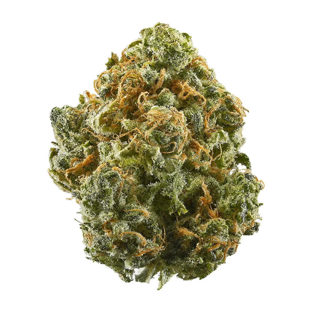 Photograph of product: Ardo - - Bulk Flower - Banana Punch [H] <T2> - 7g