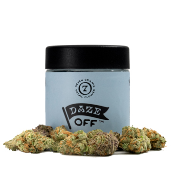 Photograph of product: NORTHERN LIGHTS