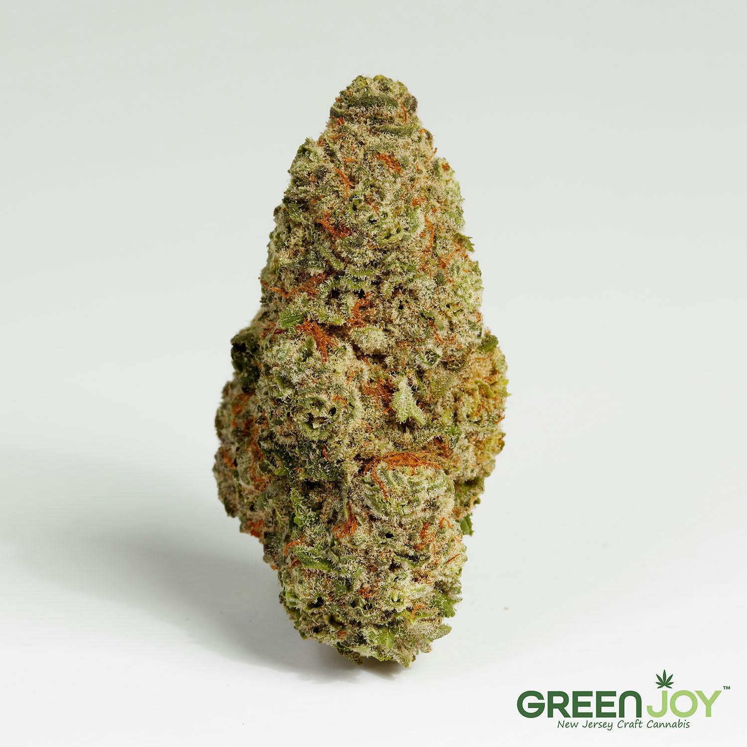Photograph of product: Mimosa | 7g