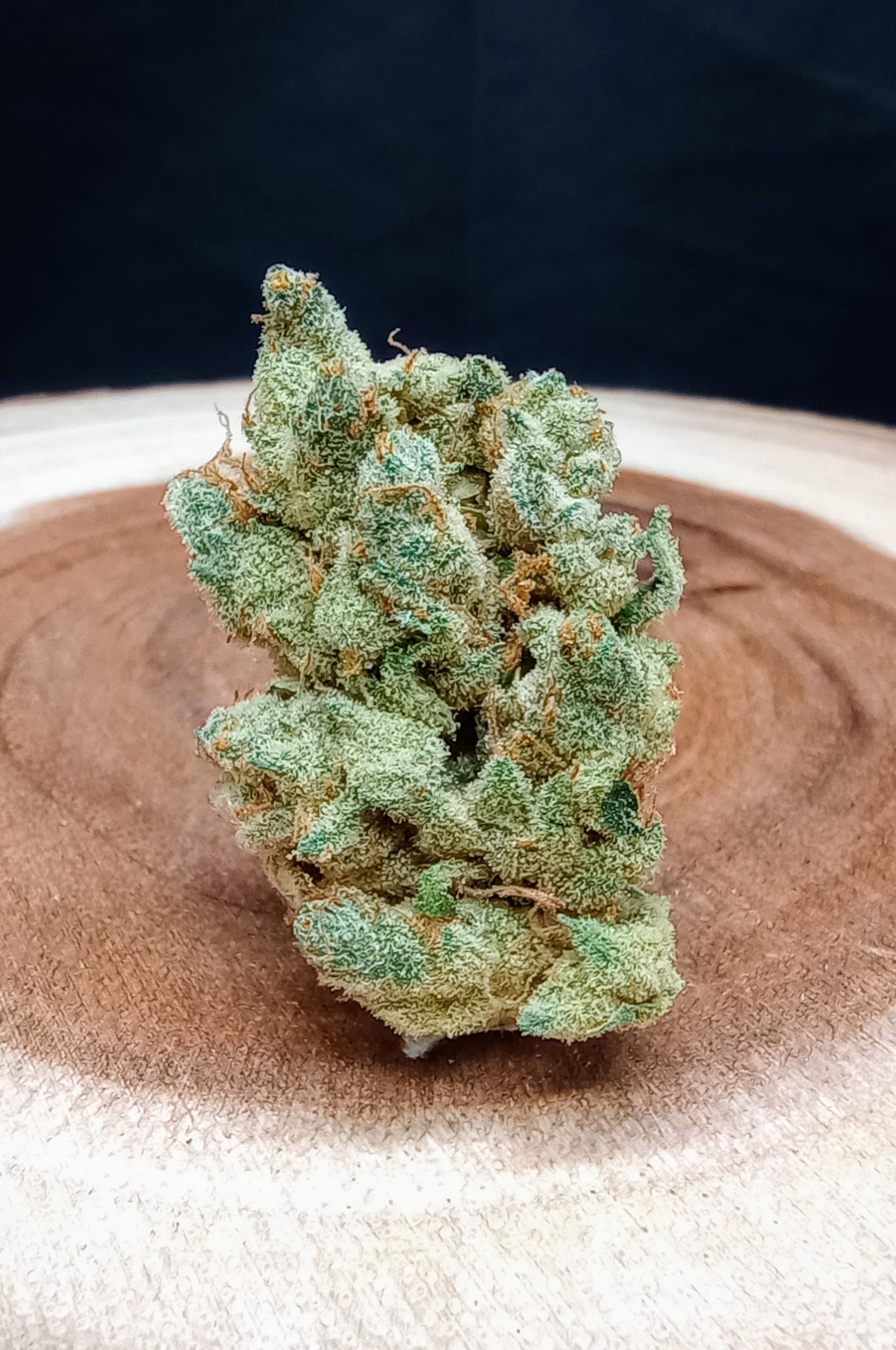 Photograph of product: GMO - 33.5g