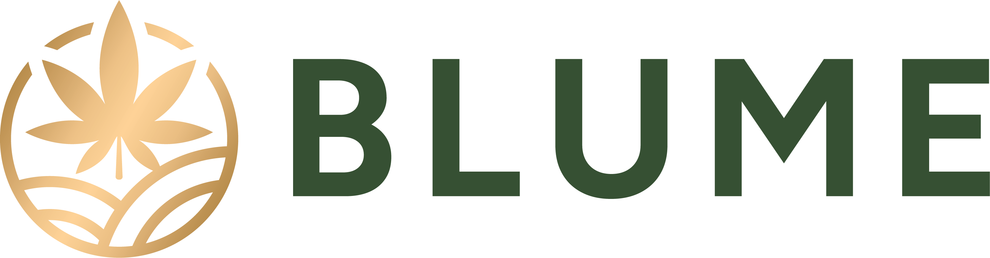 Photograph of product: Blume | Big Perm Sherb | BULK - 28g