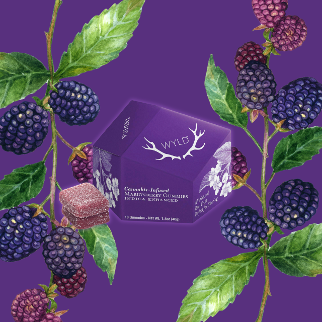 Photograph of product: GUMMIES | MARIONBERRY