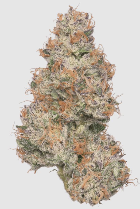 Photograph of product: Gasanova 2.83g