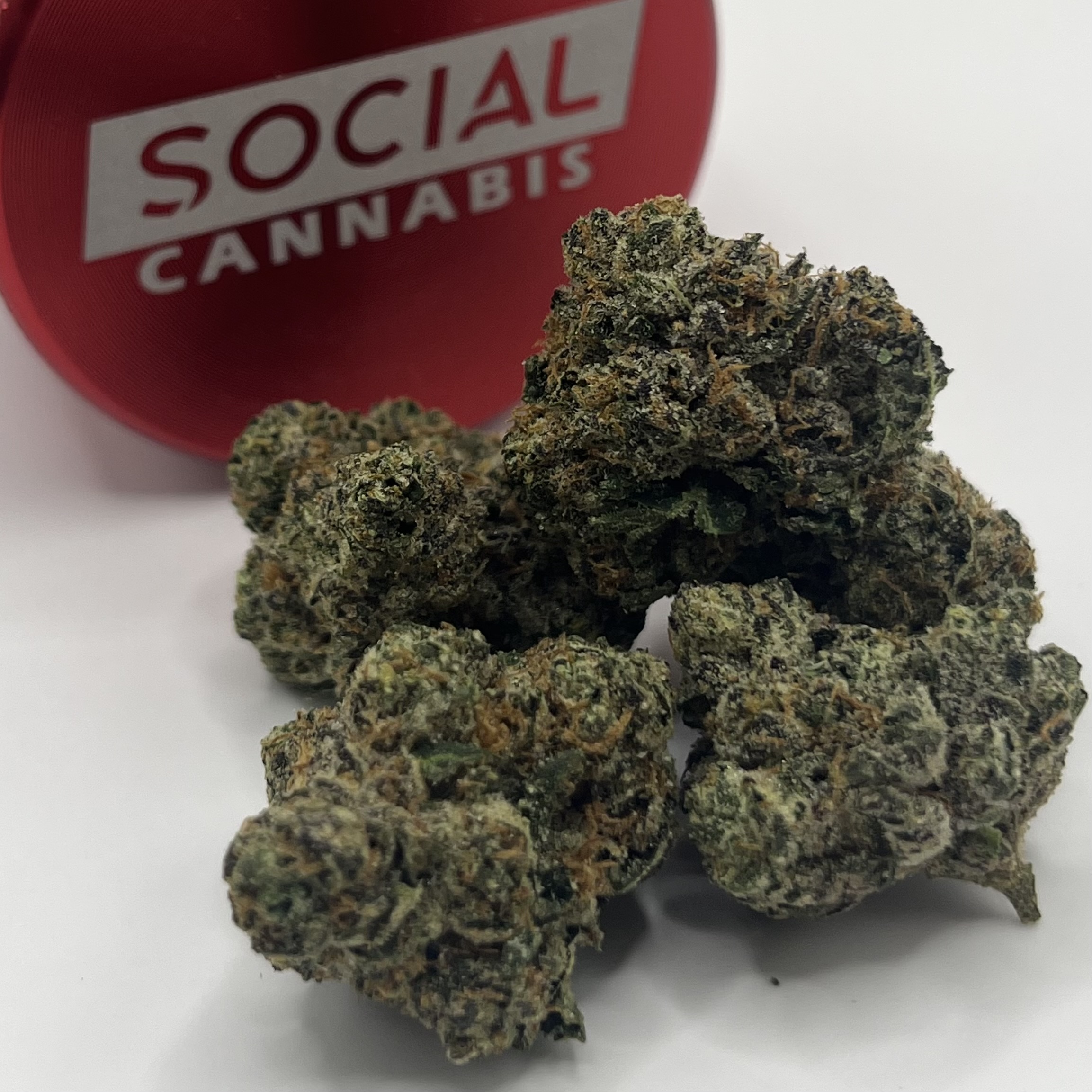 Photograph of product: Platinum Shelf - Gelato Cake (H) - 28g
