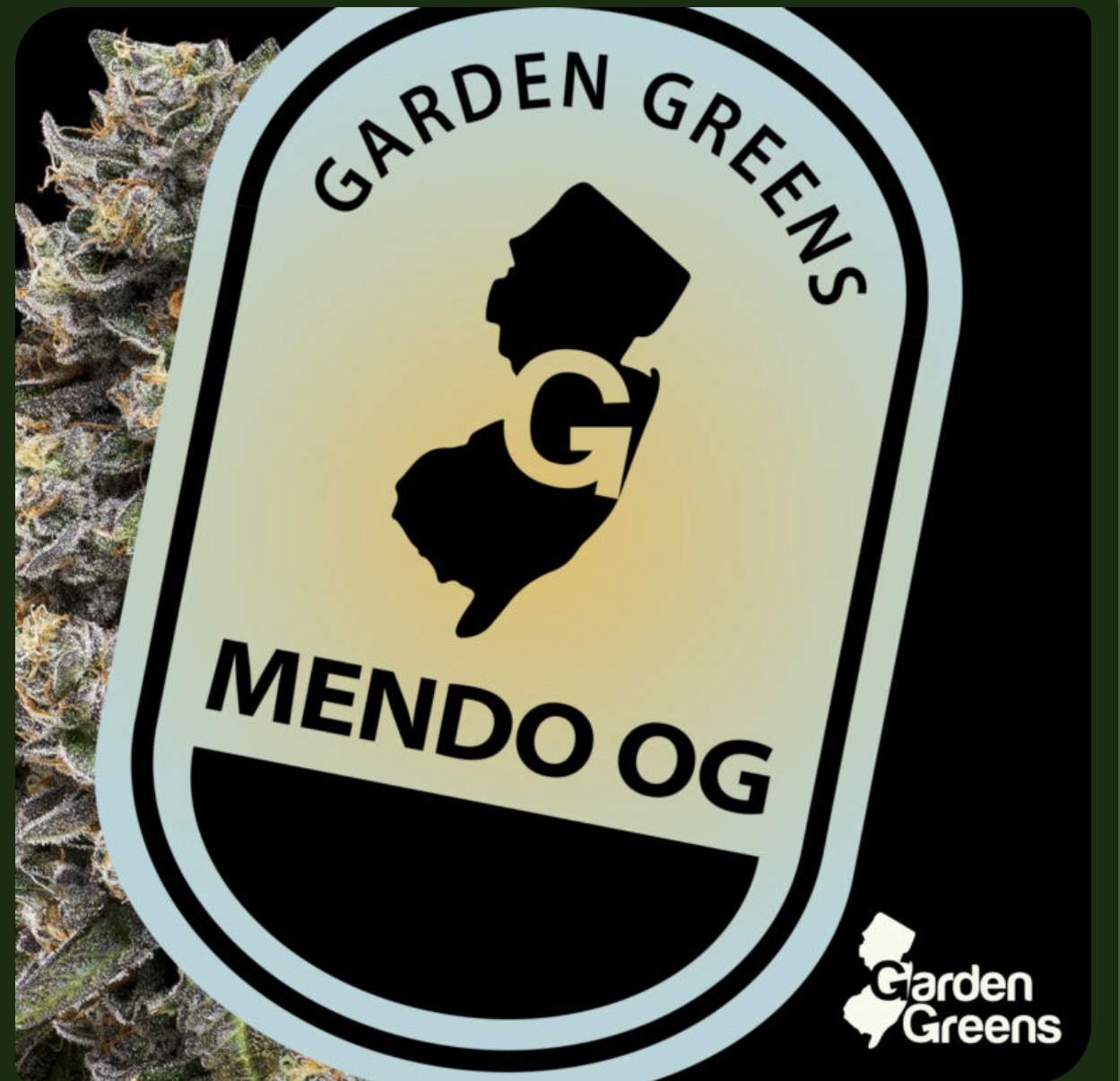 Photograph of product: Garden Greens / Mendo O.G. / 3.5g Flower