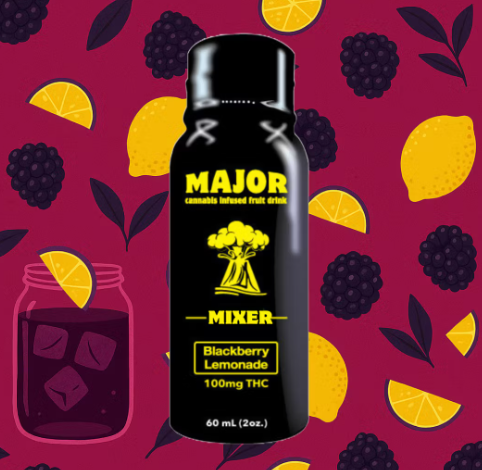 Photograph of product: Major Blueberry Fast Acting Shot