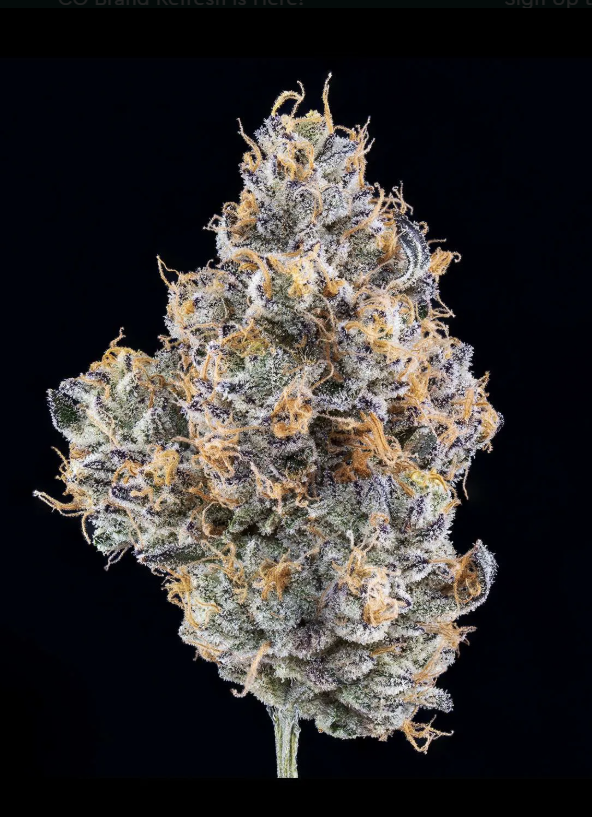 Photograph of product: Paloma Prepacked Flower - 3.5g