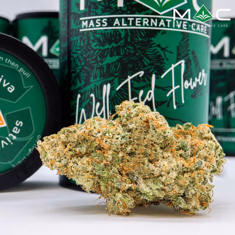Photograph of product: Sweet Tree (S) M.A.C - 3.5g