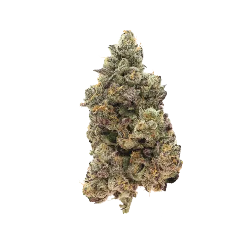 Photograph of product: Honey Banana x Rick Jamez #8 - Secret Stash (710 Labs)