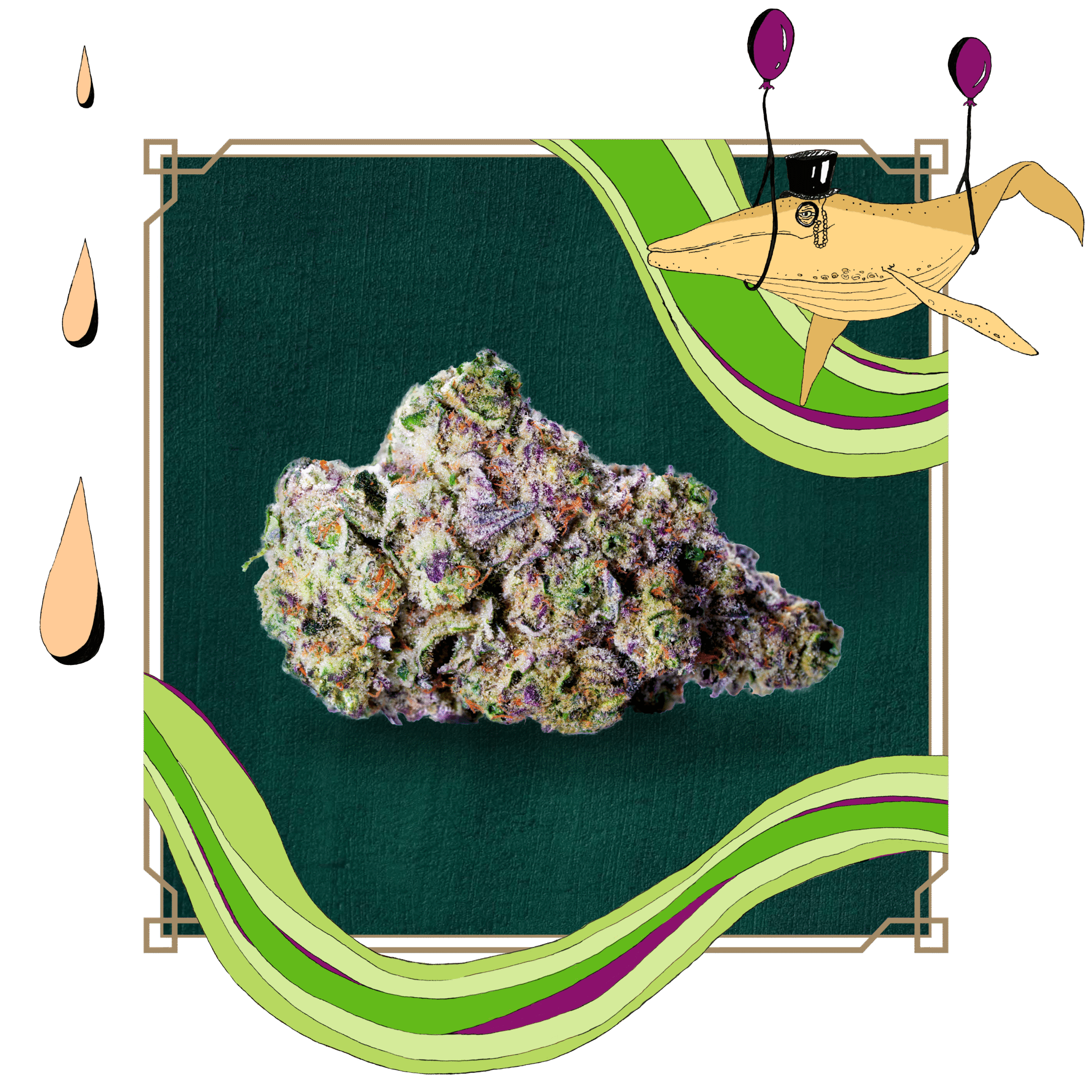 Photograph of product: Peak: Flower | Wise Guy | 3.5g