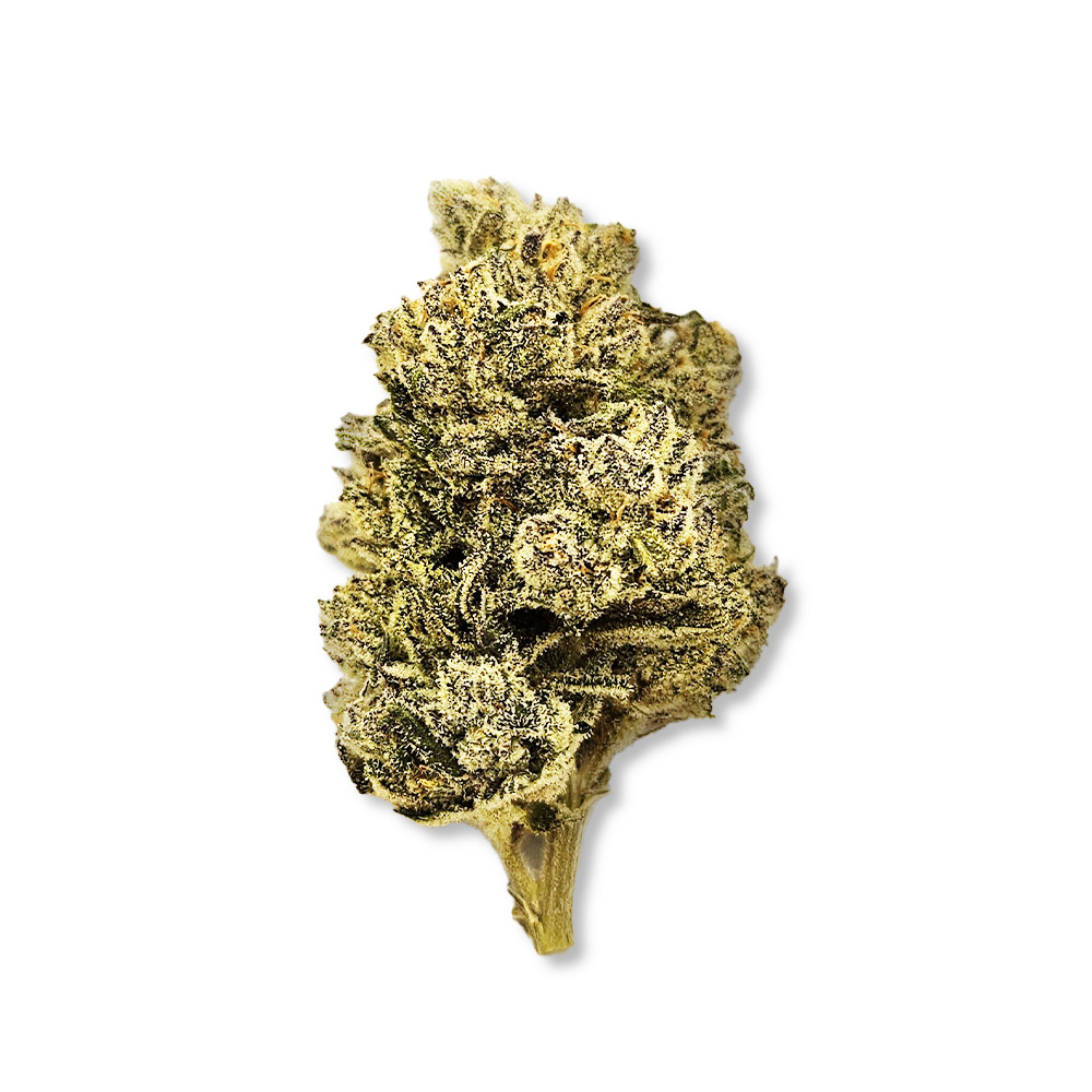 Photograph of product: Old Dirty Biker (July/September '24 Harvest) - 1g
