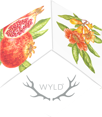 Photograph of product: Wyld - Pomegranate 1:1 TH-oui:CBD Gummies 200mg