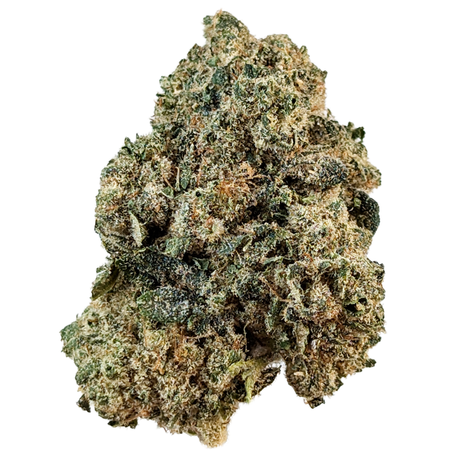 Photograph of product: ZOREOZ - BULK - 28g