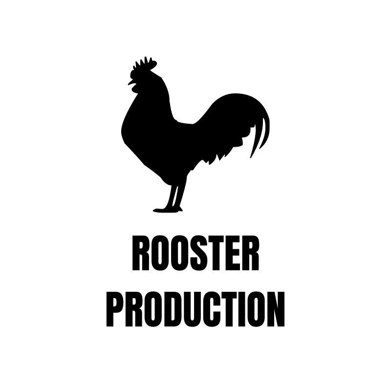 Photograph of product: Rooster - White Tahoe Cake Flower - 28g