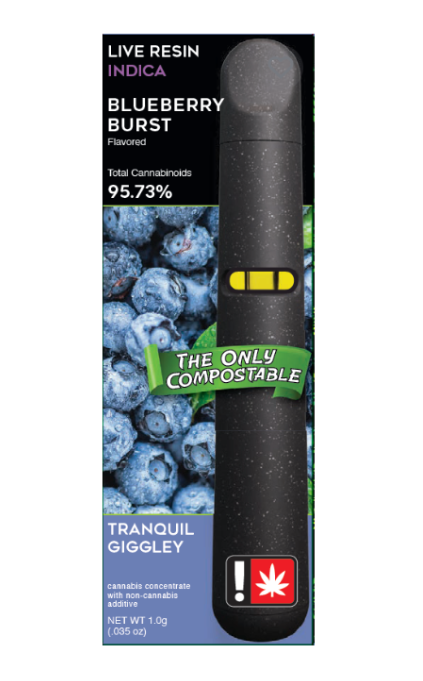 Photograph of product: Blueberry Burst Flavored Disposable