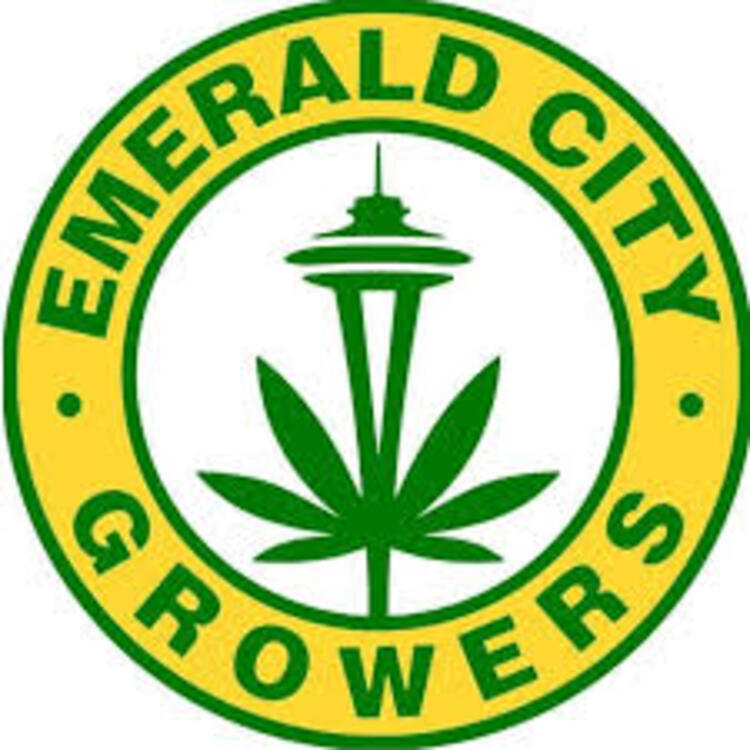 Photograph of product: Emerald City - Trim - Kushlati - 28g