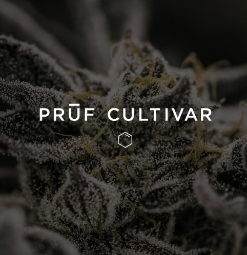 Photograph of product: Pruf Cultivar Cherry Grapefruit - 28g