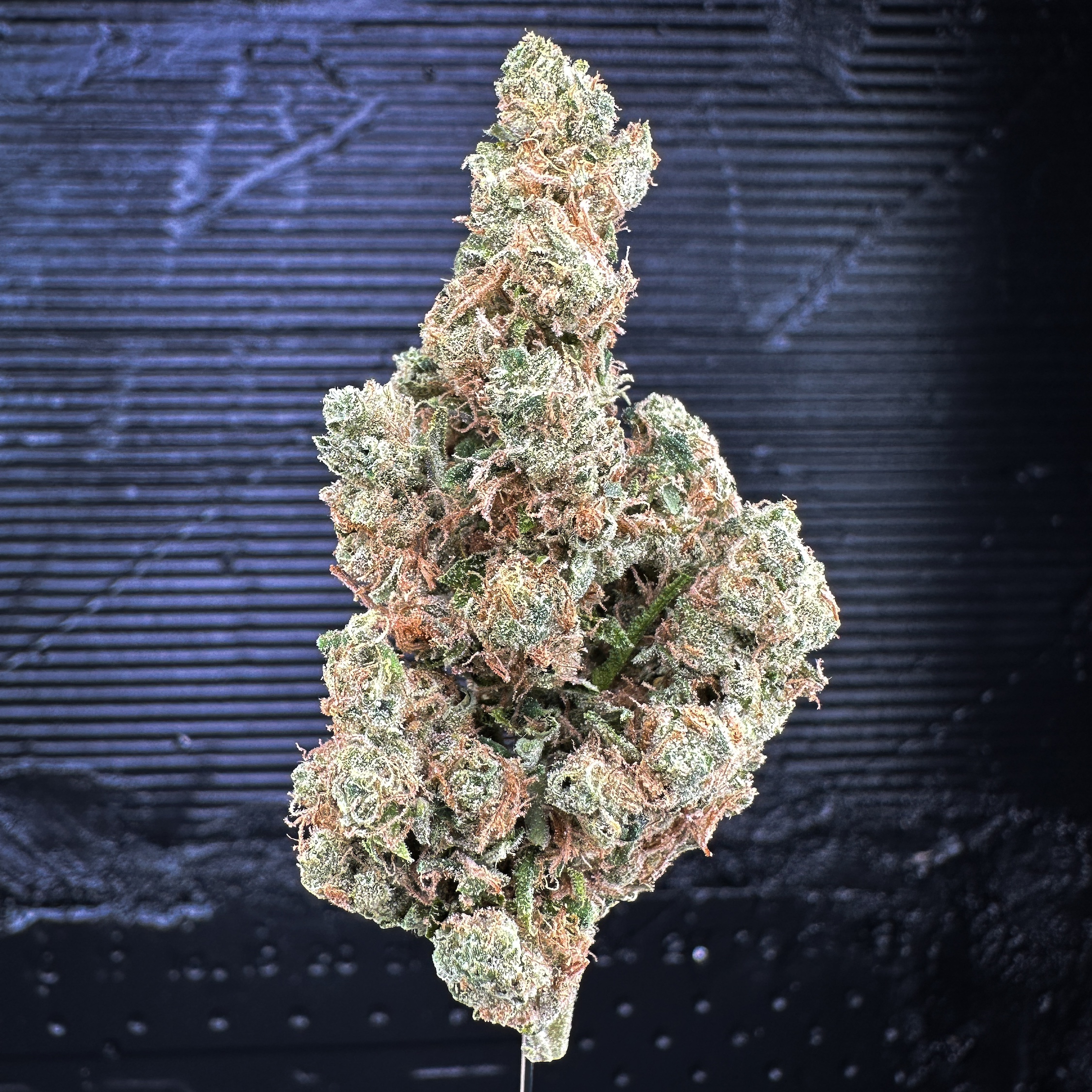 Photograph of product: Sour Diesel - 14g