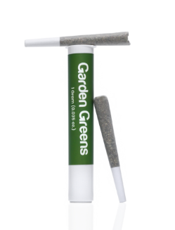 Photograph of product: Garden Greens - Super Lemon Haze - 2 PK  Preroll - 0.5G