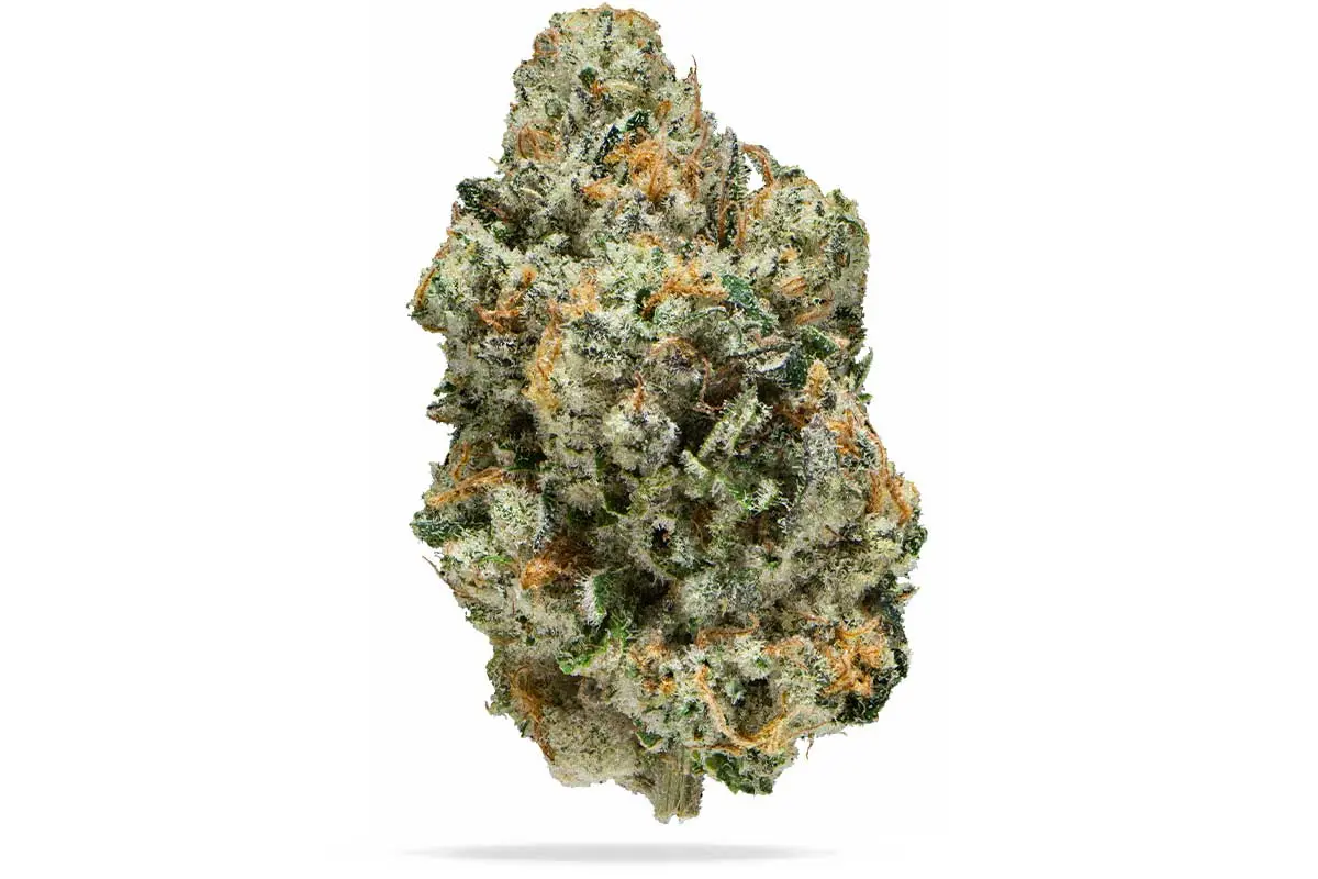 Photograph of product: Preferred Gardens Flower - Lazer Gun - 3.5g
