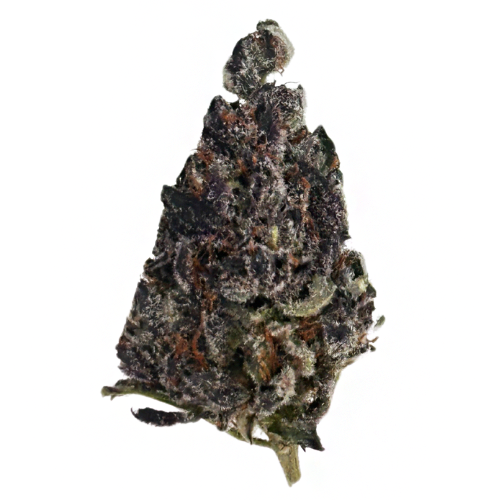 Photograph of product: Glorious Oui'd Feels Faded Peach Pie Pre-Packed 3.5g