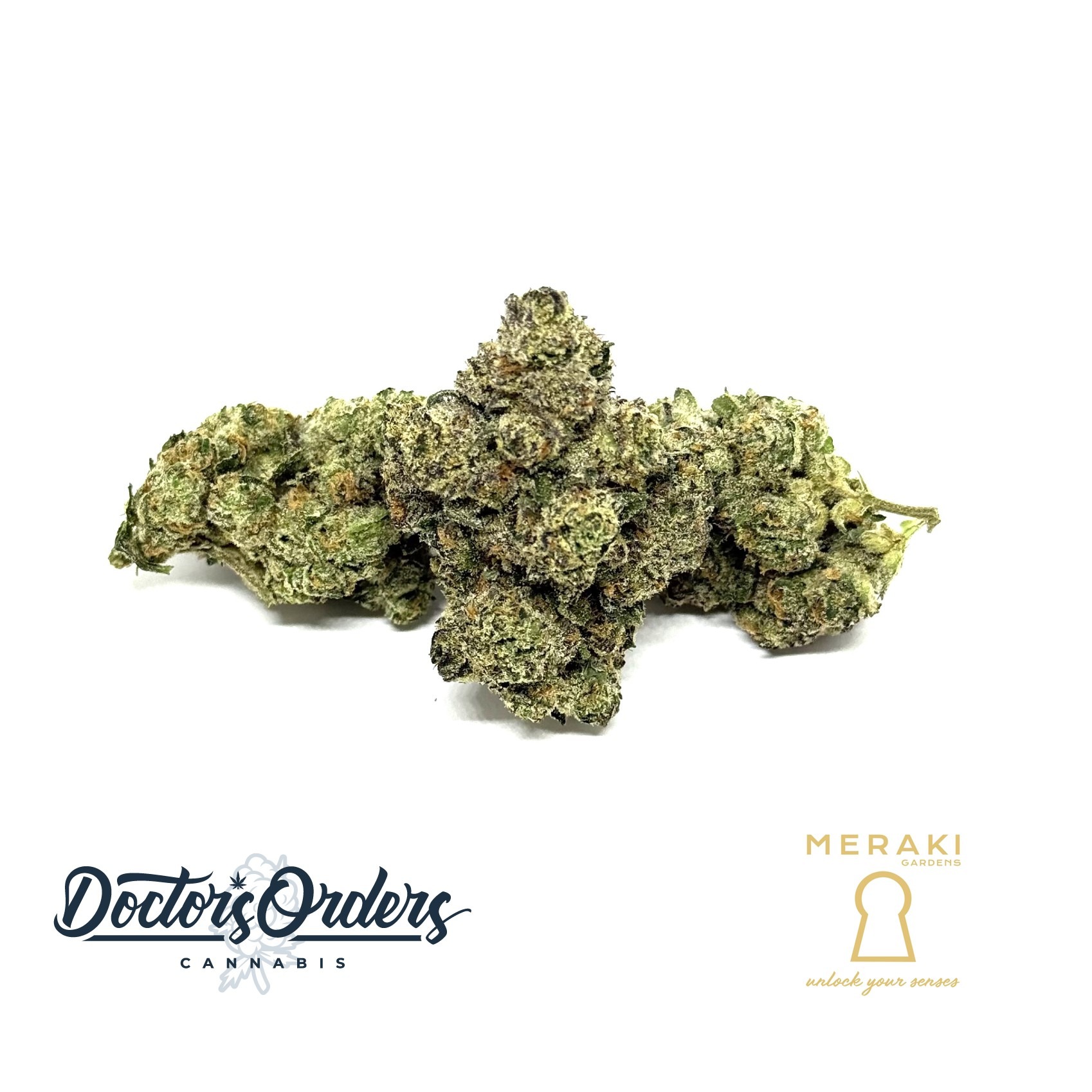 Photograph of Product: Mellowz (Deal)