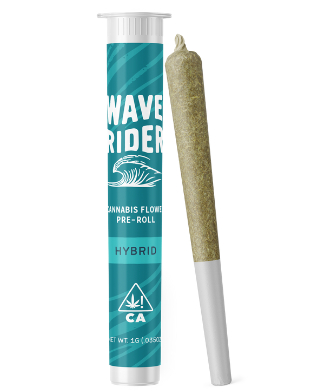 Photograph of product: Wave Rider Preroll 1g Runtz
