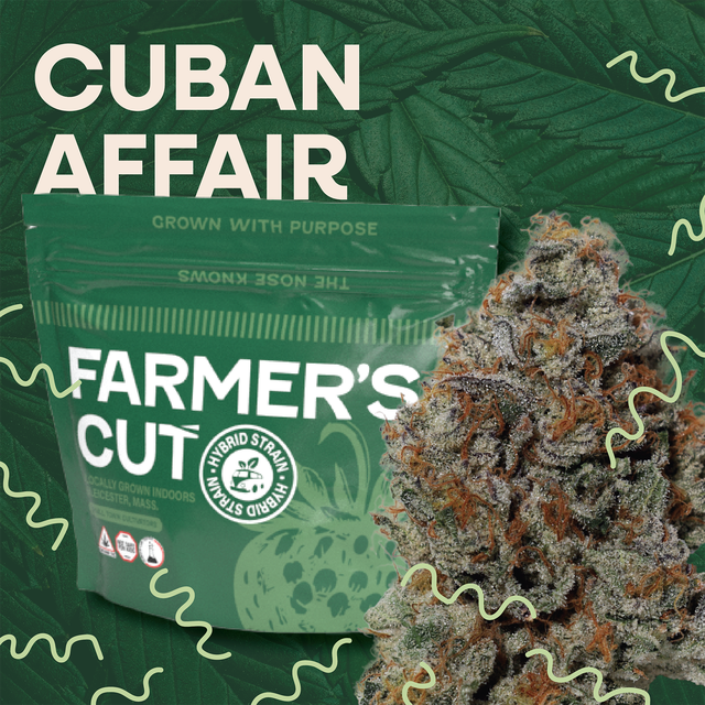 Photograph of product: Cuban Affair | 3.5g | Farmer's Cut