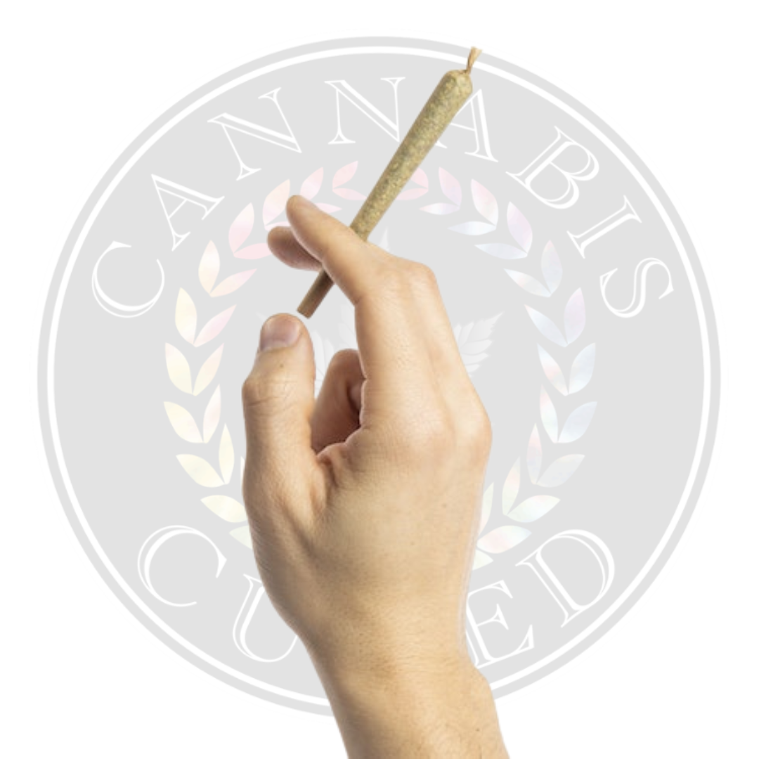 Photograph of product: Governmint Oasis Pre-Roll