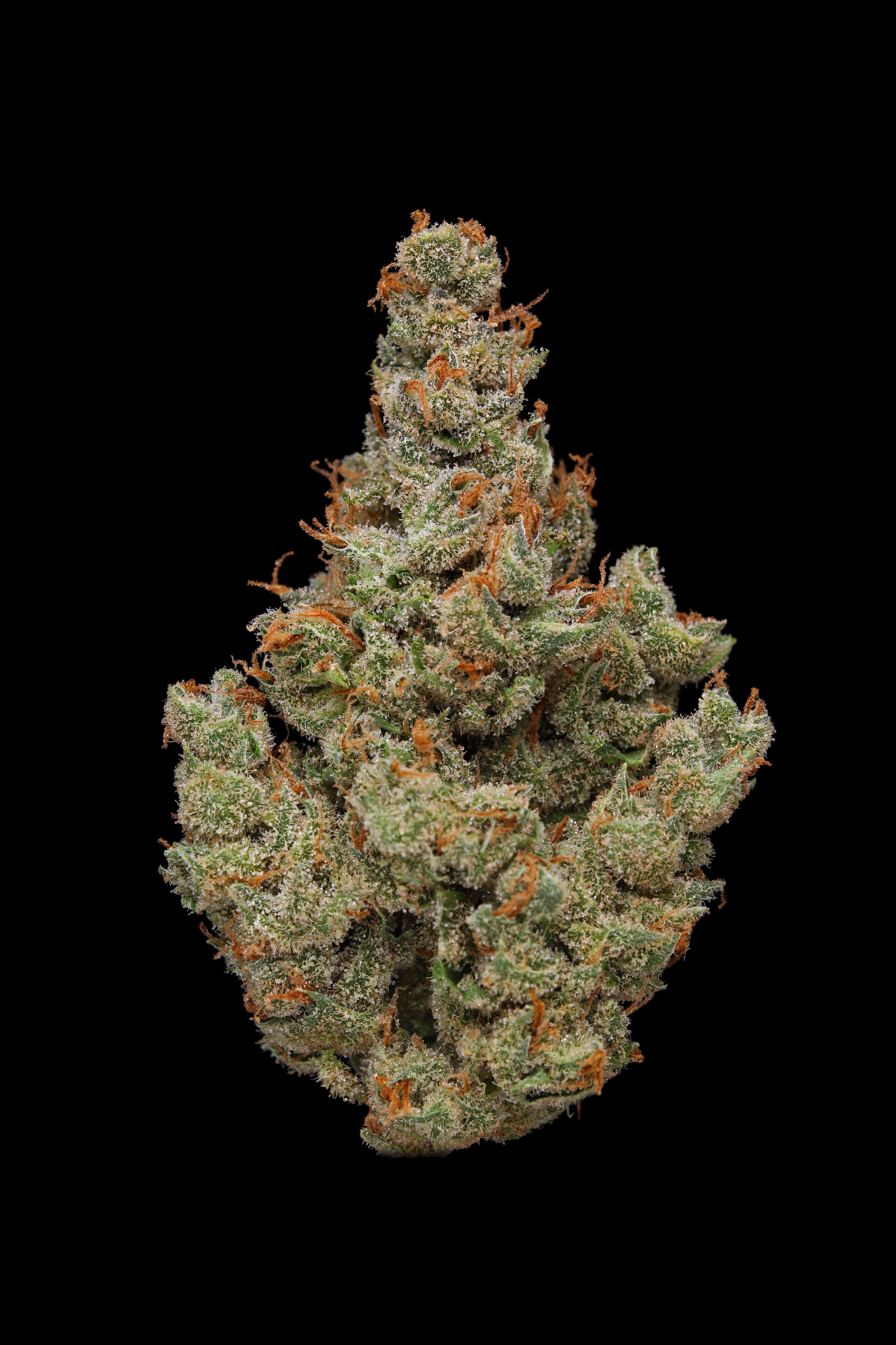 Photograph of product: Small Bud | J1 - 7g