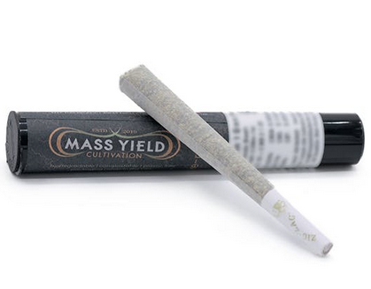 Photograph of product: Pre-Roll - Poet's Walk 2.0 - 1g