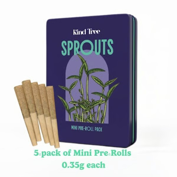 Photograph of product: Mango Haze | Pre-Roll Pack (5-Pack x 0.35g)