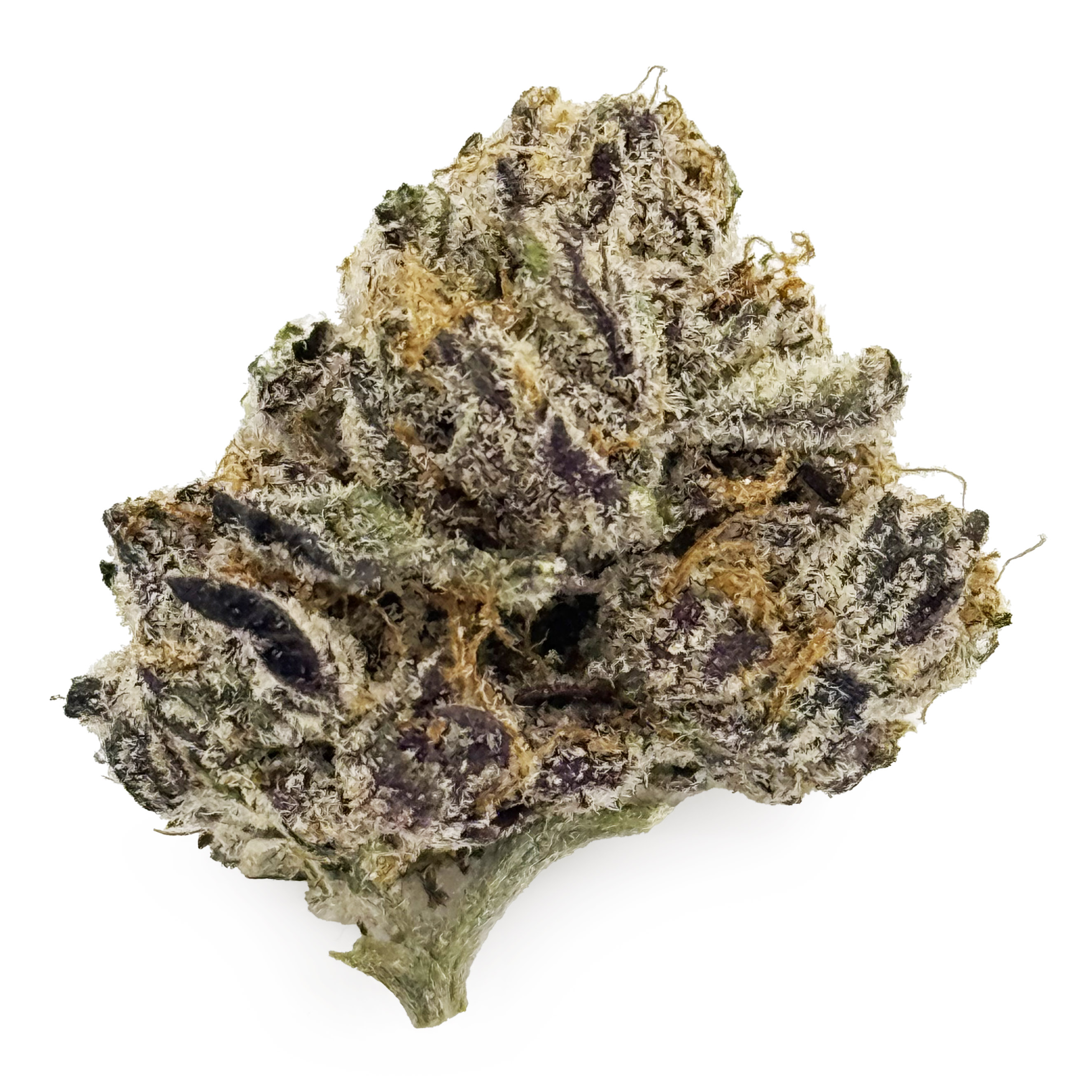 Photograph of product: Pro Gro Zangria Rec - 70g