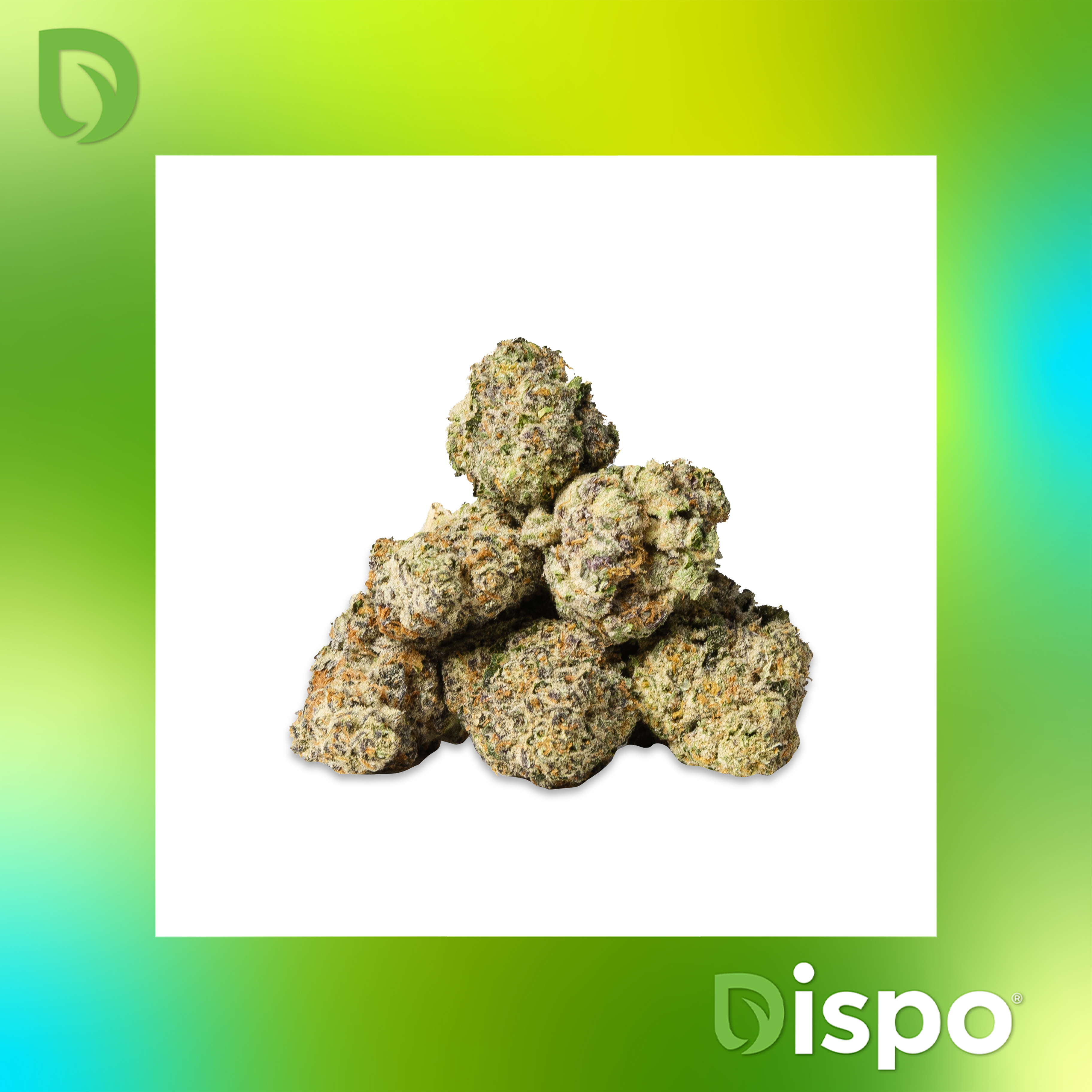 Photograph of product: Gush Mintz - Buds - 28g