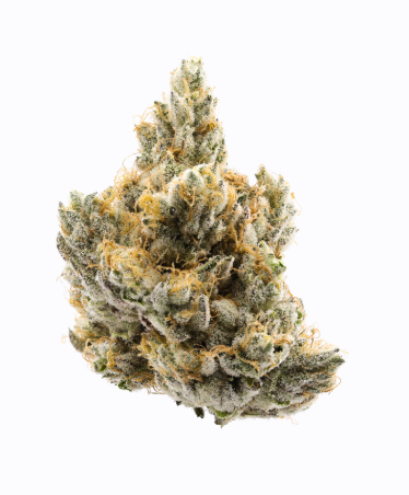 Photograph of product: Donny Burger [H] Flower | 710 Labs - 3.5g