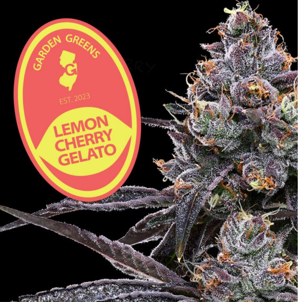 Photograph of product: Lemon Cherry Gelato (3.5g)