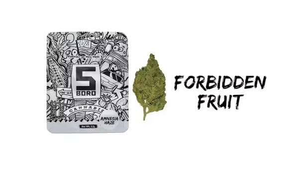 Photograph of Product: 5Boro | Forbidden Fruit Dime Bag | Flower - .7g