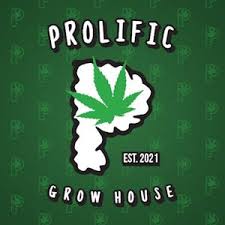 Photograph of product: GMO Cake Pre-Roll 1g
