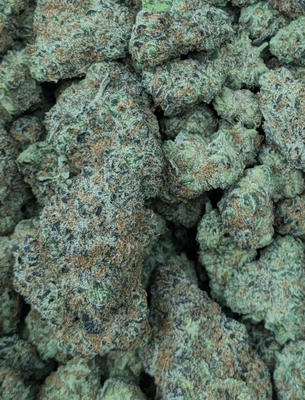 Photograph of product: Gas Tier Deli - Orange Julius - 28g