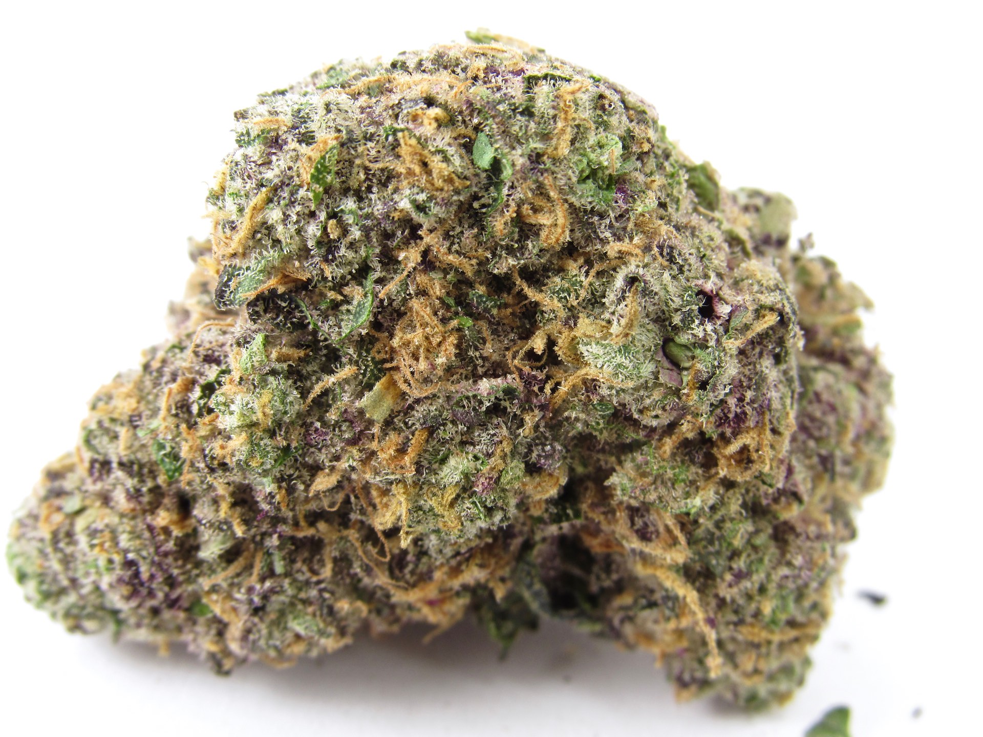 Photograph of Product: PBJ (Indica)