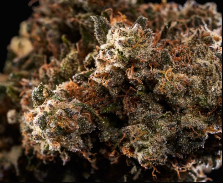 Photograph of product: GOOD GREEN BUBBA FETT POPCORN 3.5G
