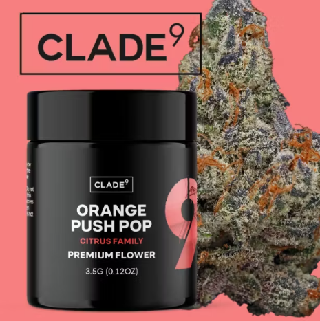 Photograph of product: Clade9 - Orange Push Pop - Flower 1g