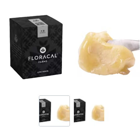 Photograph of product: Floracal - Live Rosin Chocolate OG (I)