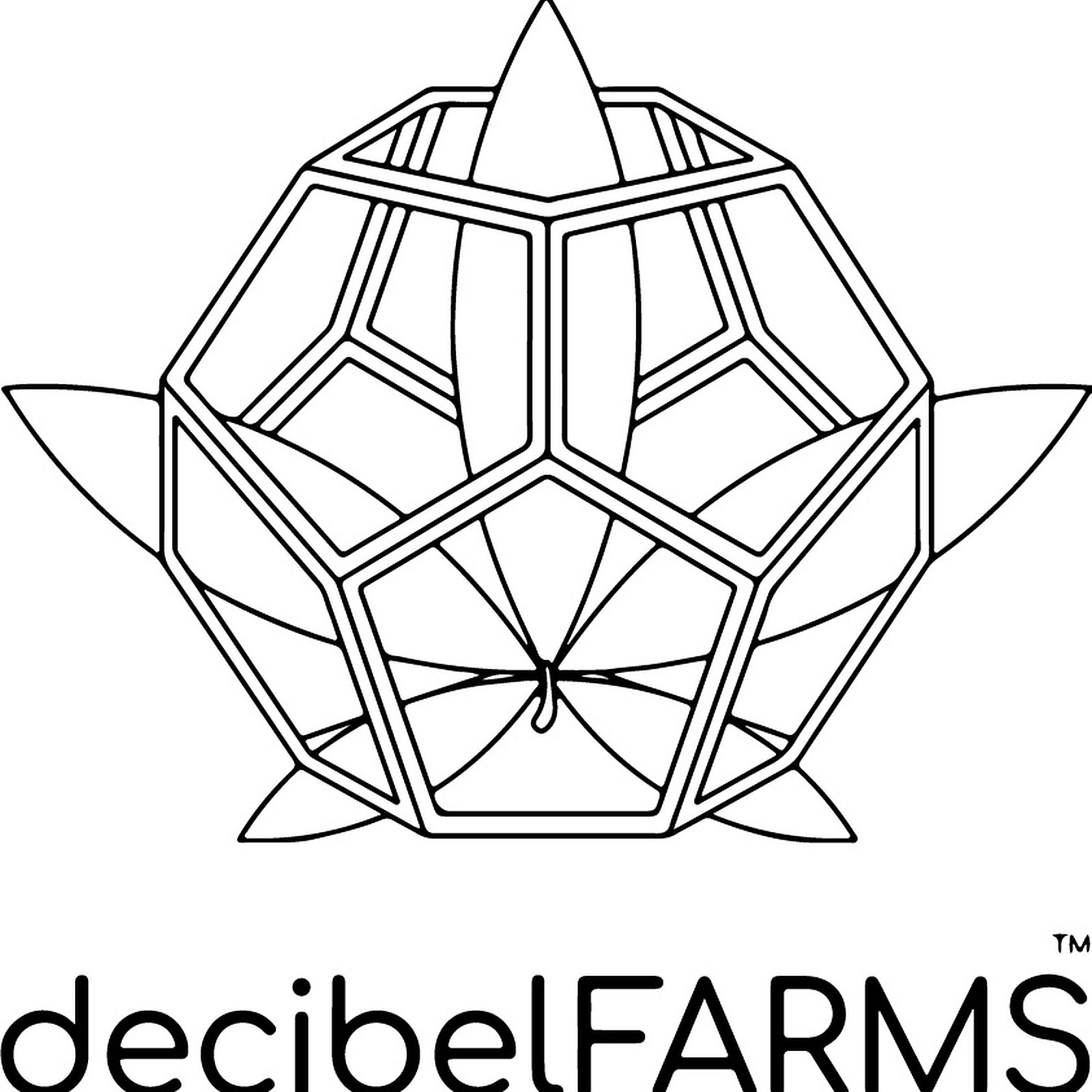 Photograph of product: Decibel Farms > Live DIAMONDS 1g > 24K
