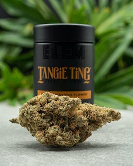 Photograph of Product: Tangie Ting | 3.5g