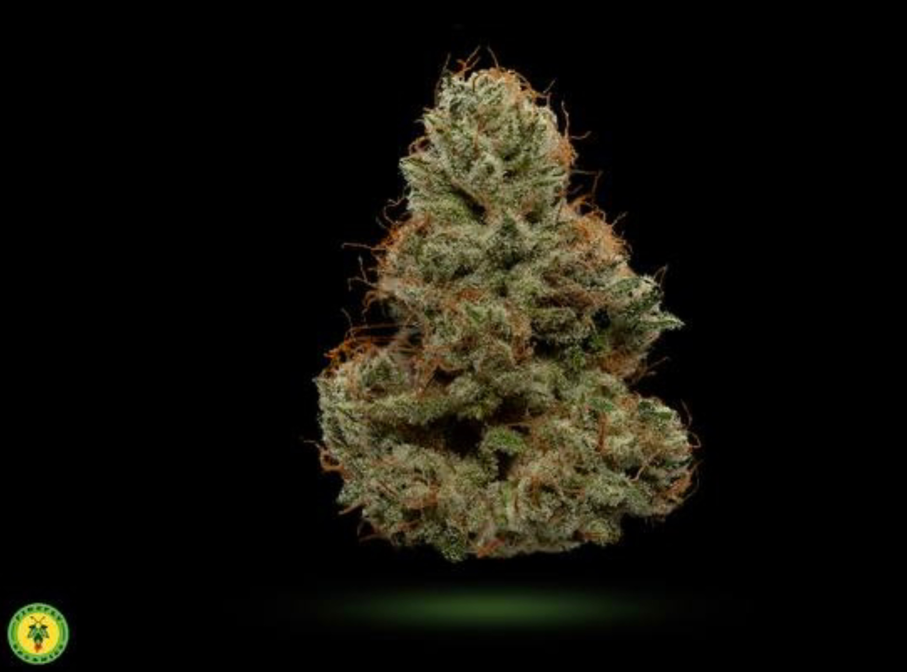 Photograph of product: Albarino - Firefly Organics - Flower) - 3.5g