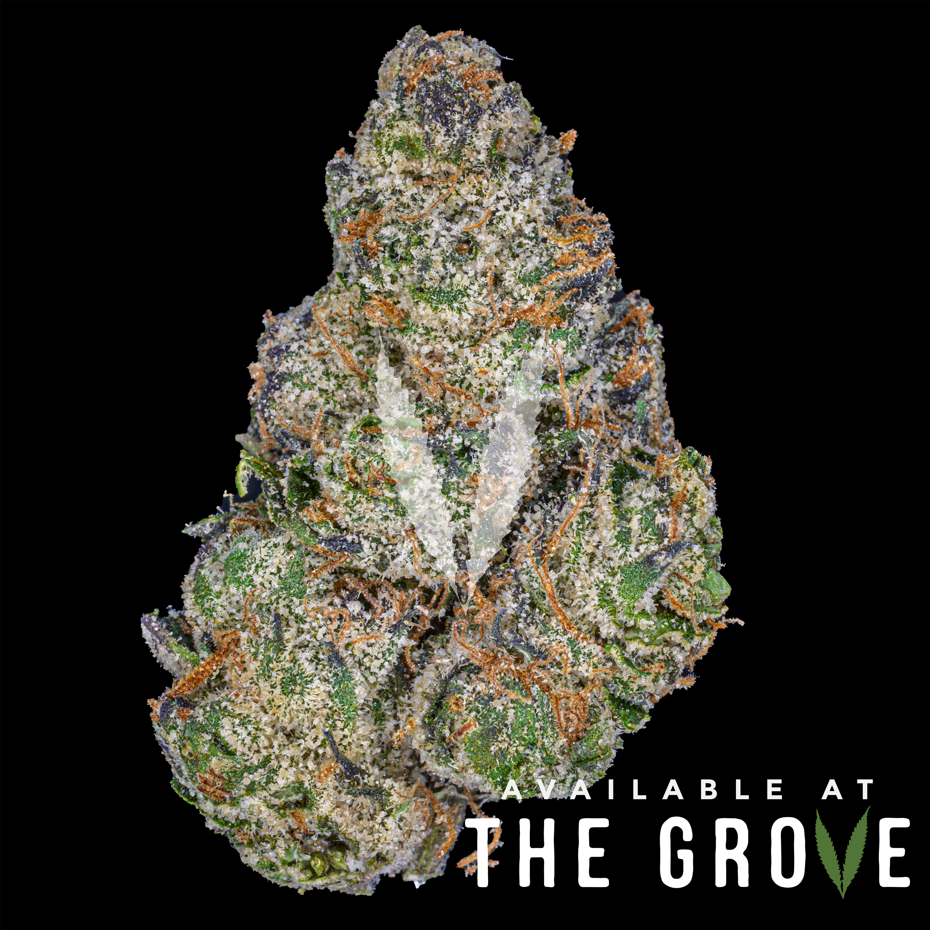 Photograph of product: Traditional | Spray Paint 1/8ths - 3.5g